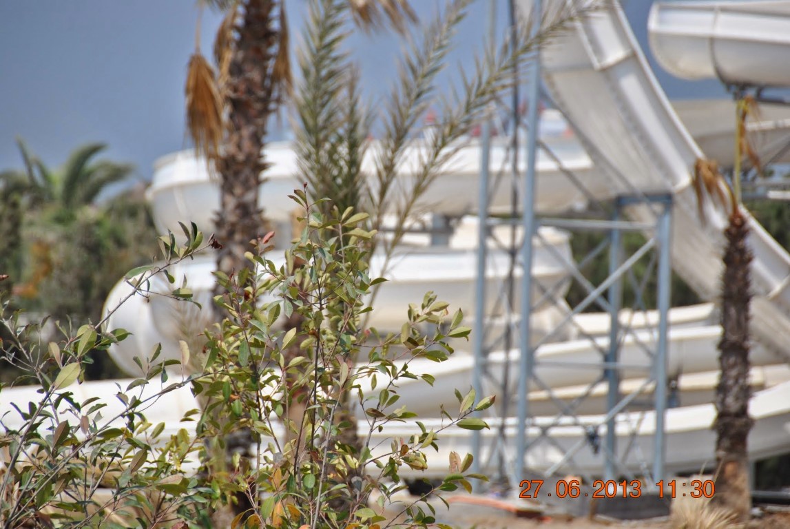 imagini hotel RIU KAYA PALAZZO BELEK